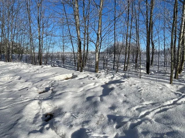 $280,000 | Tbd 161st Avenue, Clearbrook, MN 56634