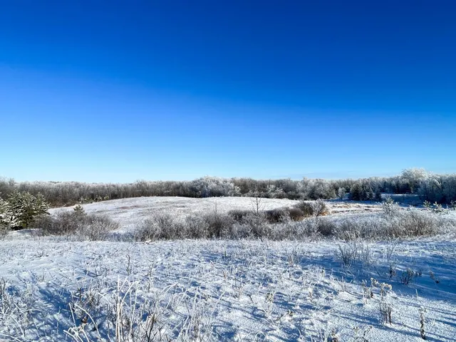 $280,000 | Tbd 161st Avenue, Clearbrook, MN 56634