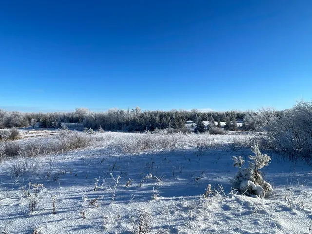 $280,000 | Tbd 161st Avenue, Clearbrook, MN 56634