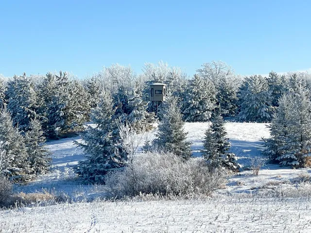 $280,000 | Tbd 161st Avenue, Clearbrook, MN 56634