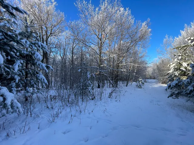 $280,000 | Tbd 161st Avenue, Clearbrook, MN 56634