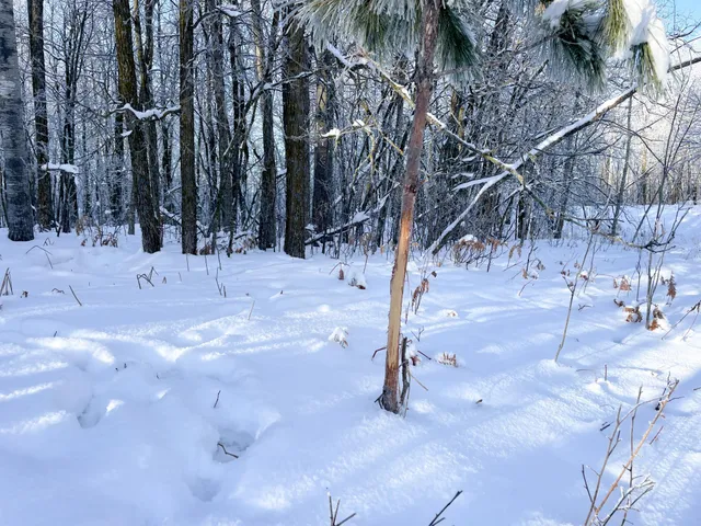 $280,000 | Tbd 161st Avenue, Clearbrook, MN 56634