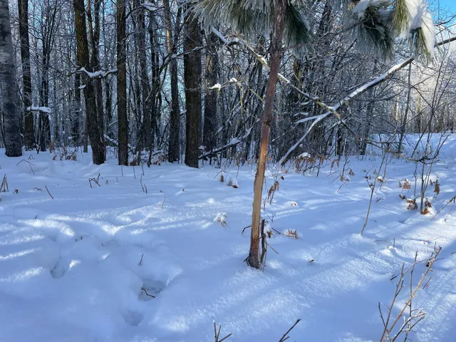 $280,000 | Tbd 161st Avenue, Clearbrook, MN 56634