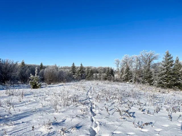 $280,000 | Tbd 161st Avenue, Clearbrook, MN 56634