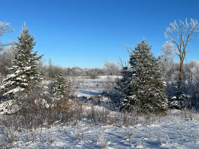 $280,000 | Tbd 161st Avenue, Clearbrook, MN 56634