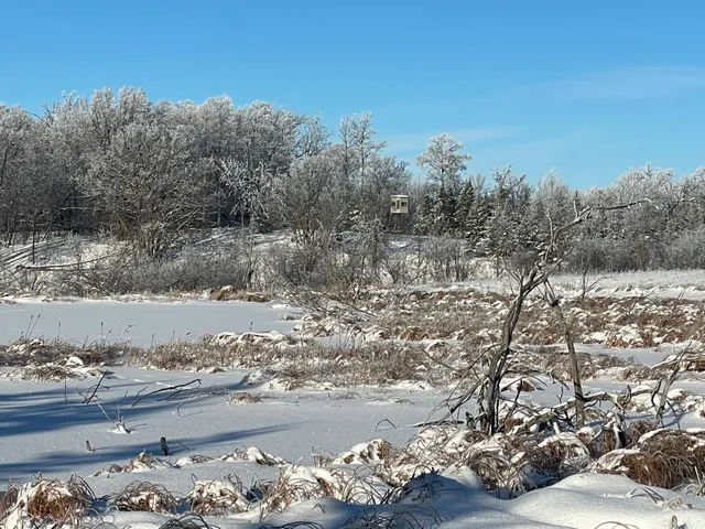 $280,000 | Tbd 161st Avenue, Clearbrook, MN 56634