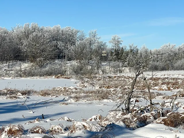 $280,000 | Tbd 161st Avenue, Clearbrook, MN 56634