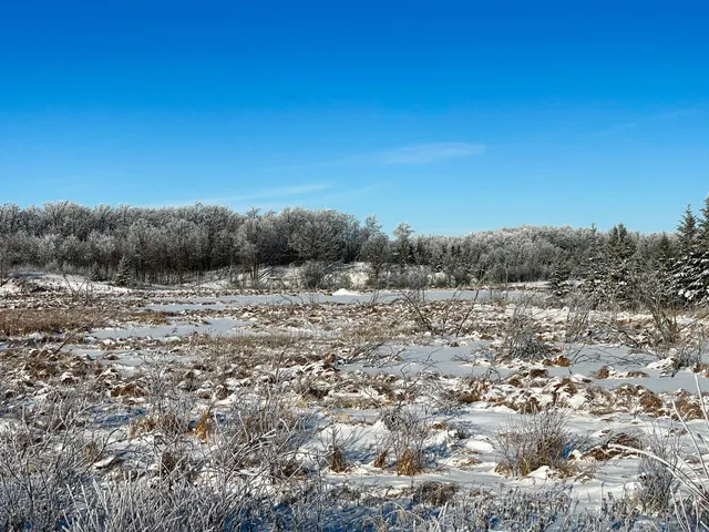 $280,000 | Tbd 161st Avenue, Clearbrook, MN 56634