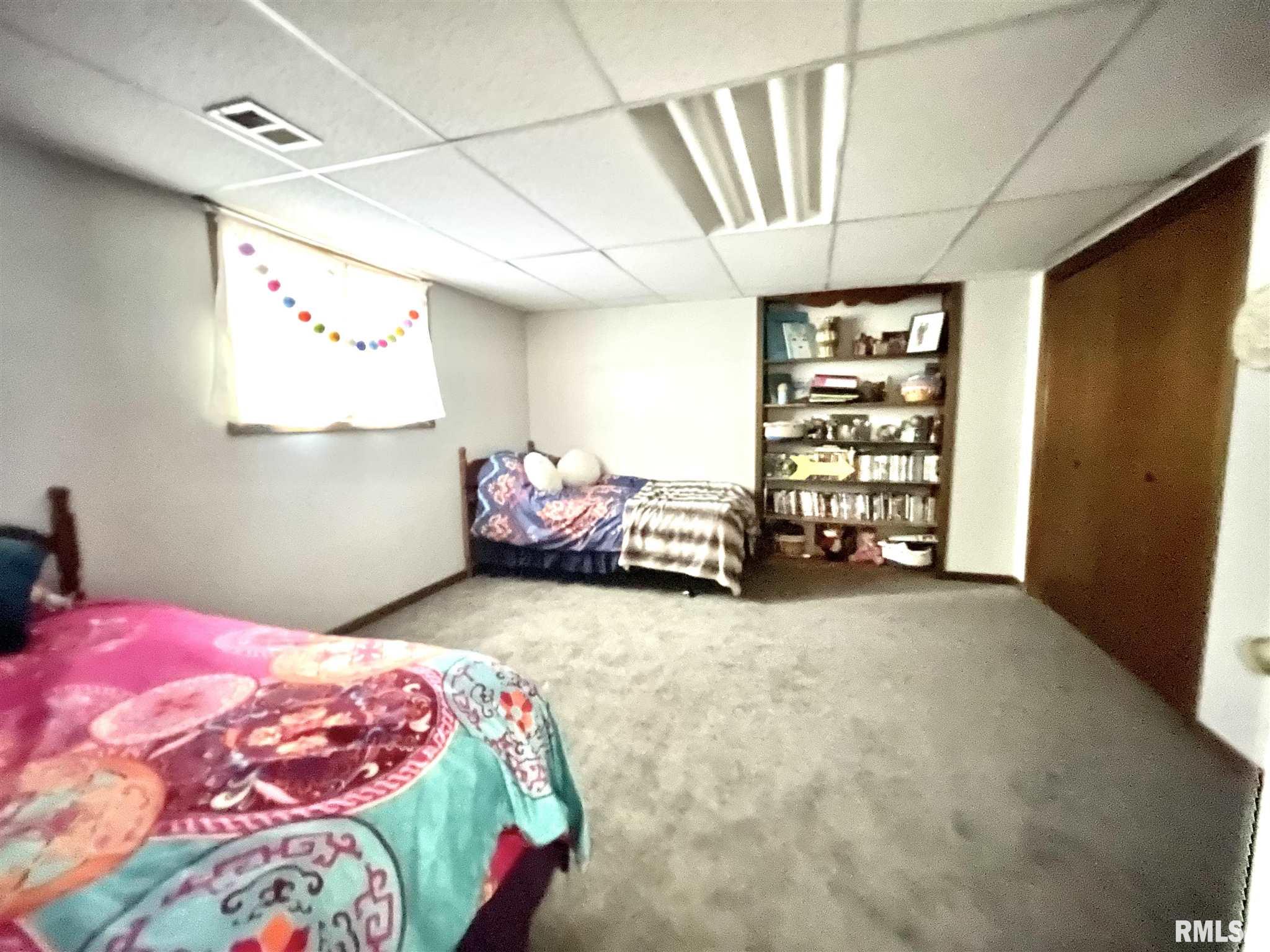 7299 Long Road Fulton, IL 61252 - Photo 29 of 33