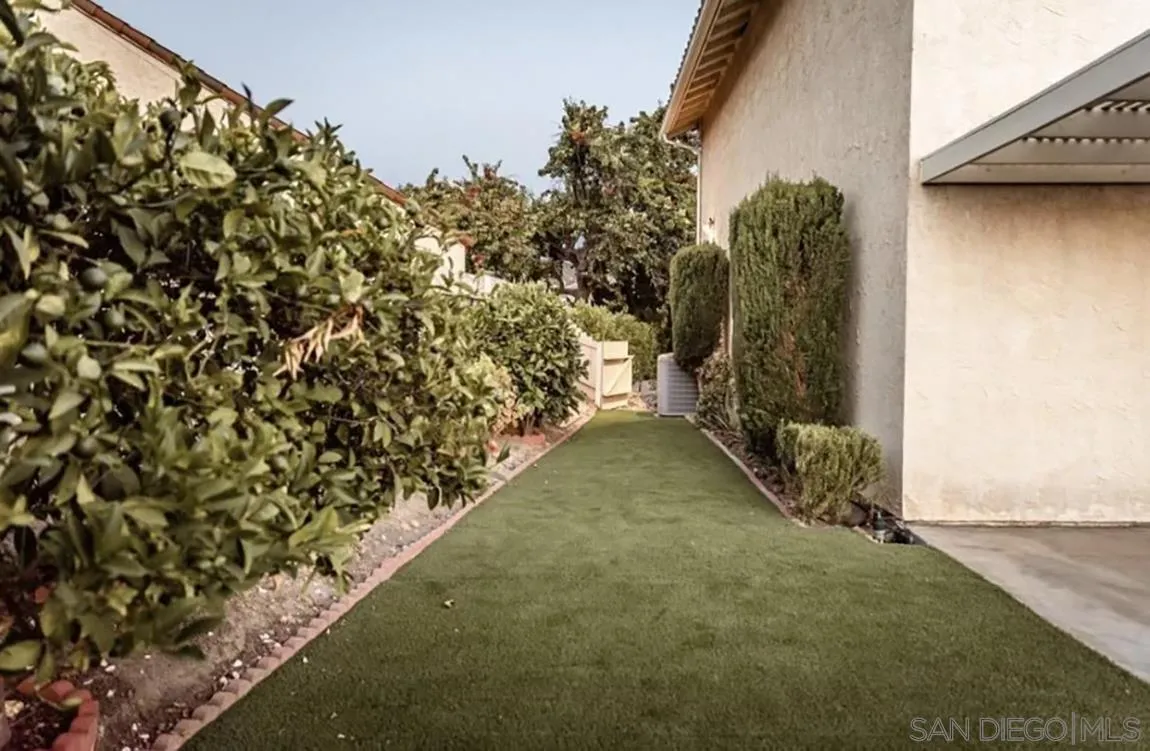 a view of a yard with plants