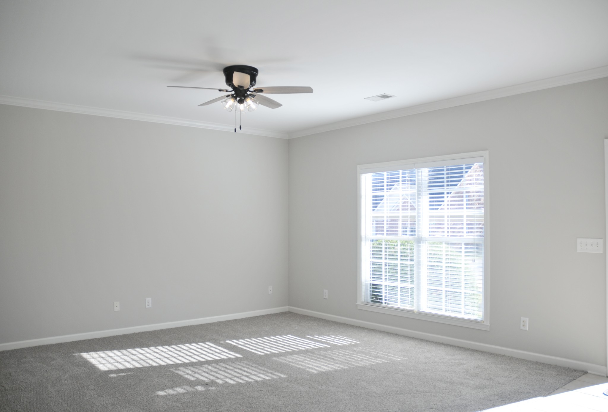 7101 Fernvale Springs Way Fairview, TN 37062 - Photo 4 of 18 an empty room with windows and fan