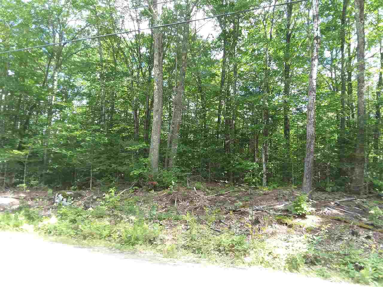 Swain Hill Road, Unit 34 Warren, NH 03279 - Photo 1 of 2