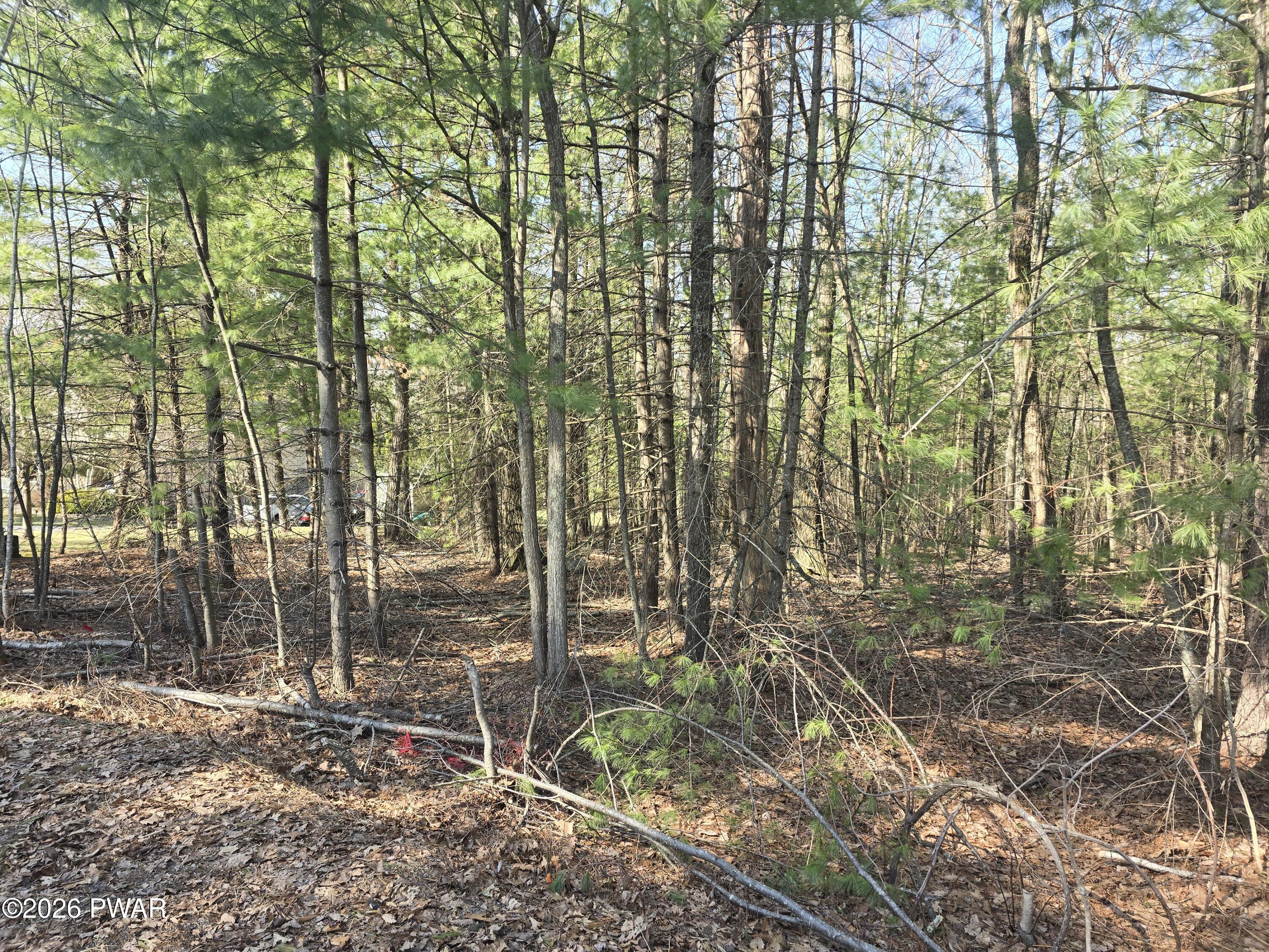 Lot 3 Stone Ridge Road East Stroudsburg, PA 18302 - Photo 1 of 4 1000031271
