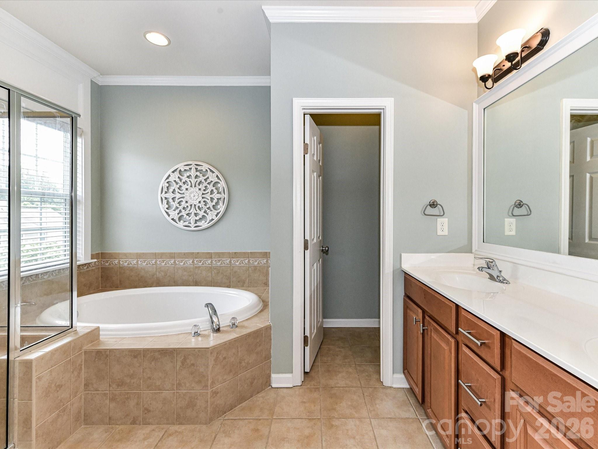 756 Naramore Street Davidson, NC 28036 - Photo 32 of 44 a bathroom with a tub a sink and a large mirror