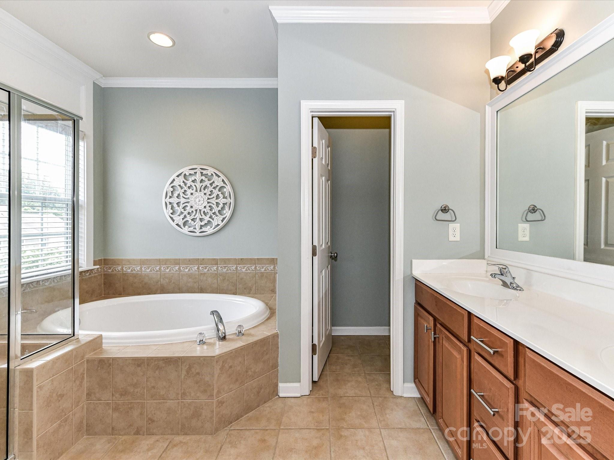 756 Naramore Street Davidson, NC 28036 - Photo 33 of 46 a bathroom with a tub a sink and a large mirror