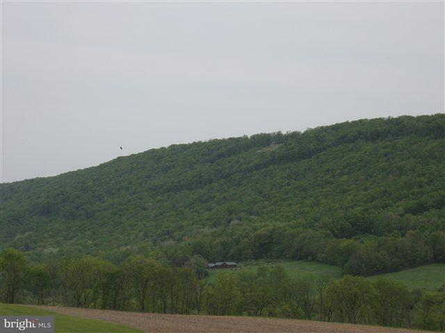 0 Spain Road Herndon, PA 17830 - Photo 1 of 9 Gallery Image 1