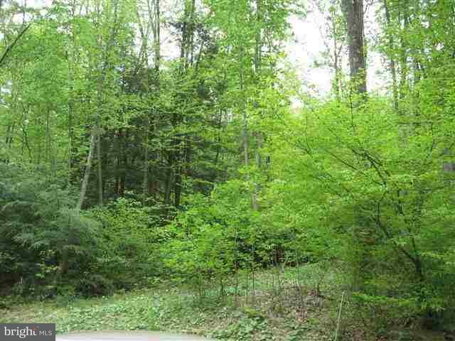 0 Spain Road Herndon, PA 17830 - Photo 4 of 9 Gallery Image 4