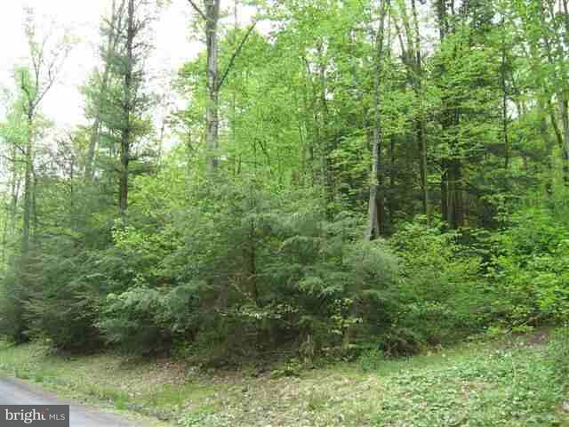 0 Spain Road Herndon, PA 17830 - Photo 5 of 9 Gallery Image 5