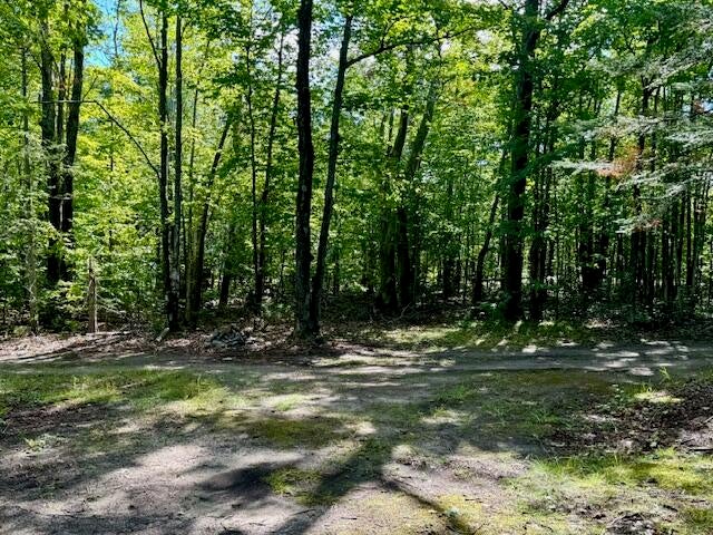 4083 Long Lake Road Cheboygan, MI 49721 - Photo 7 of 13 Parcel D Building Site 3