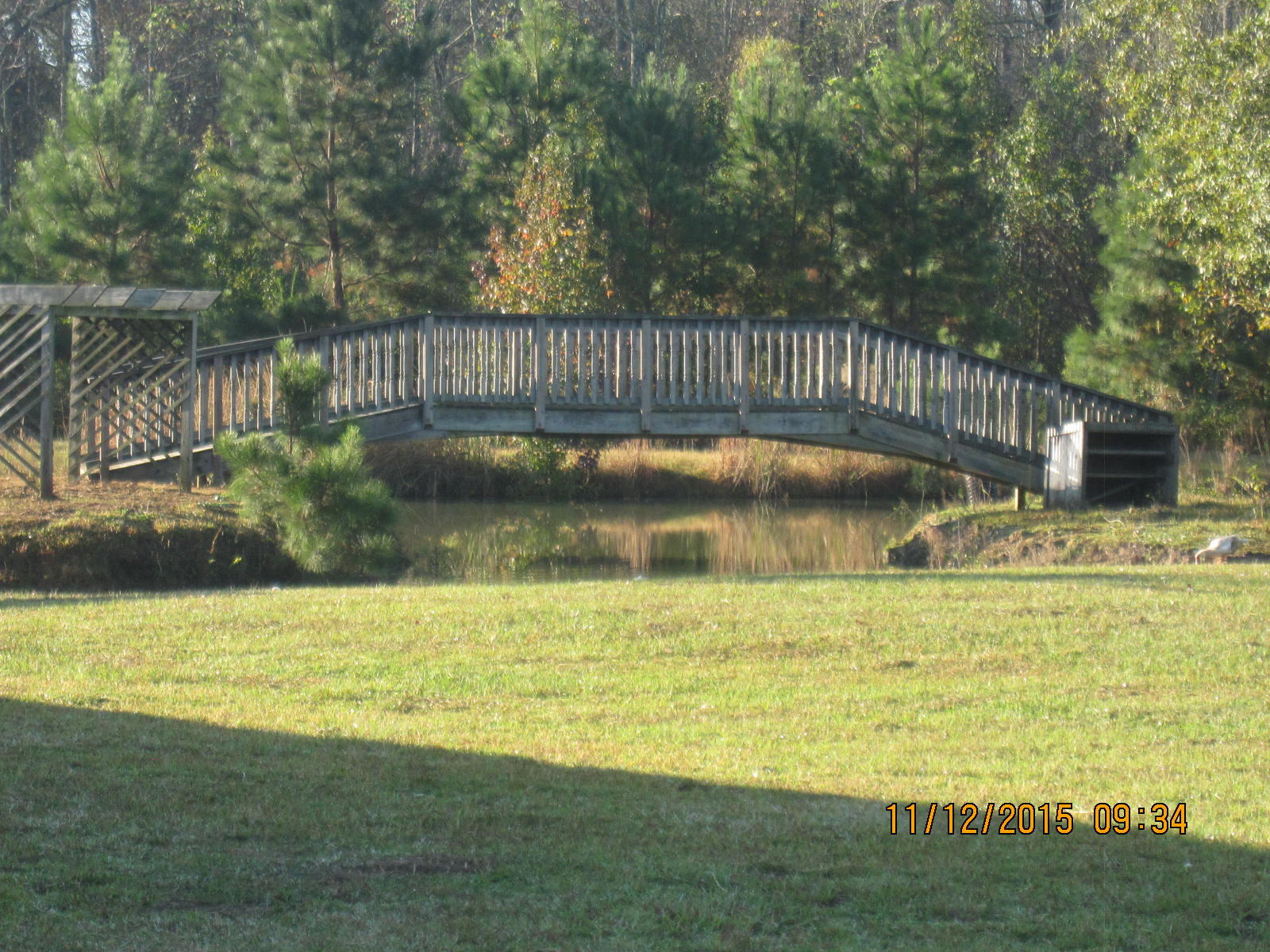 2841 Mill Pond Road Ruffin, SC 29475 - Photo 10 of 21 IMG_0079