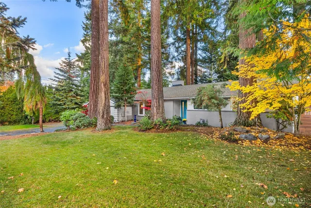 a view of a house with a small yard and tree s