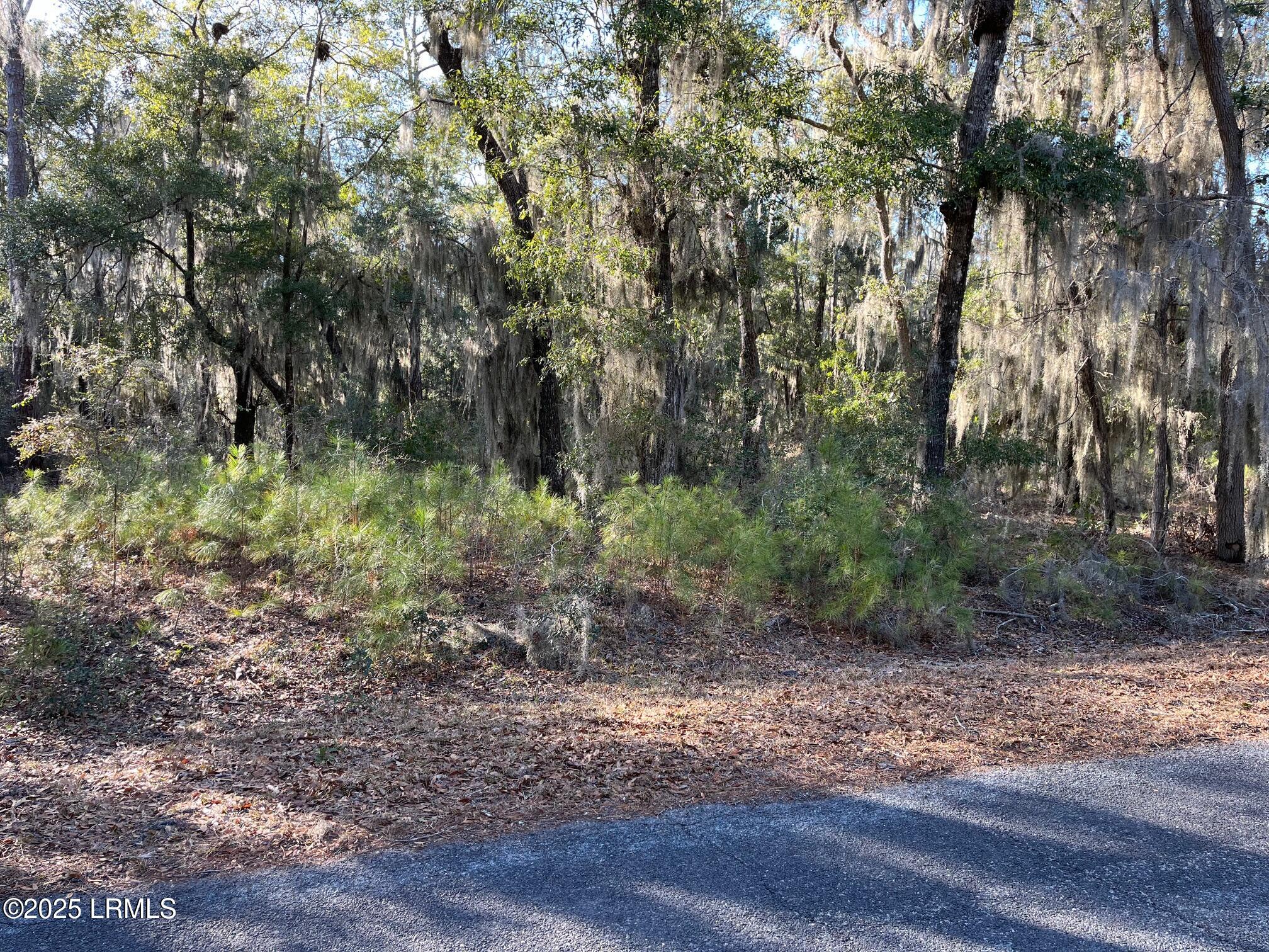 325 State Rd S-7-161 St. Helena Island, SC 29920 - Photo 1 of 15 325 Dulamo Road