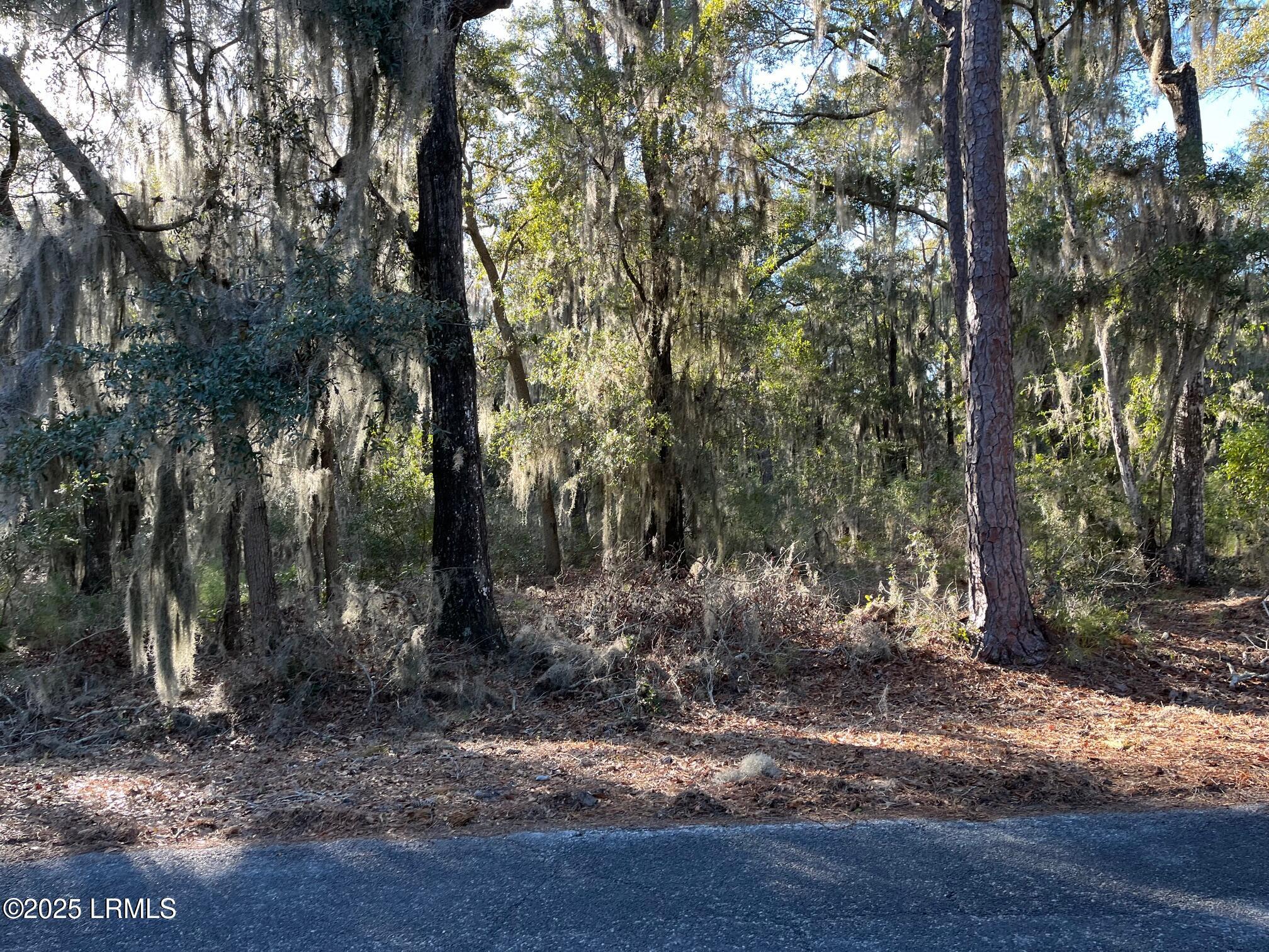 325 State Rd S-7-161 St. Helena Island, SC 29920 - Photo 3 of 15 Lot 12 Dulamo