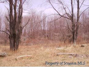 0 Griffis Road Montrose, PA 18801 - Photo 1 of 2 Additional Photo