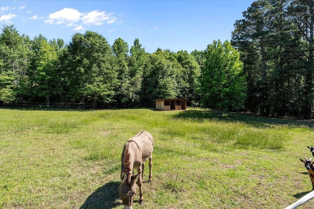 34 Harris Road Carrollton, GA 30116 - Photo 63 of 64