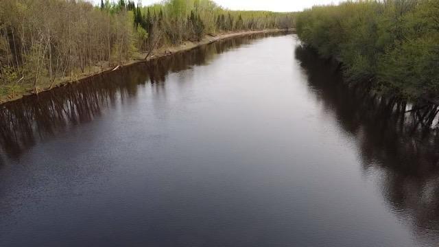 79 County Road 79 Littlefork, MN 56653 - Photo 3 of 6