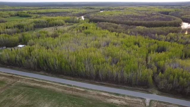 79 County Road 79 Littlefork, MN 56653 - Photo 5 of 6
