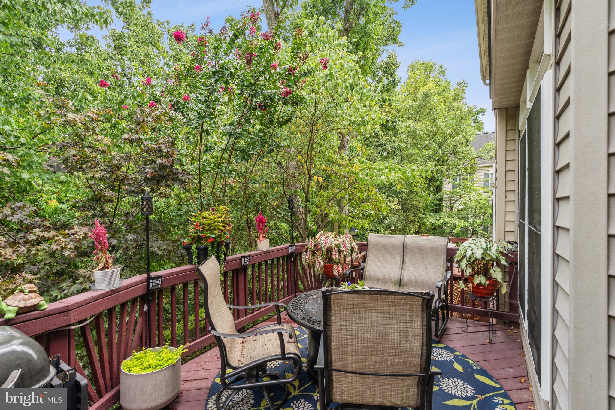 6667 Debra Lu Way Springfield, VA 22150 - Photo 7 of 15 Private rear deck