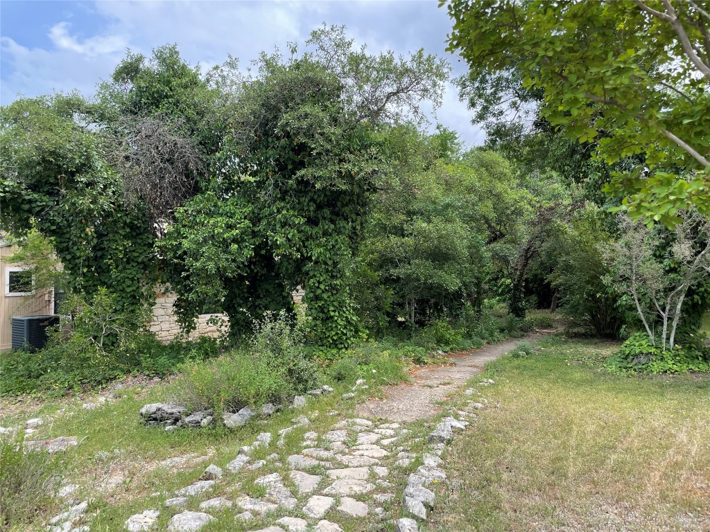 175 Fischer Trail Wimberley, TX 78676 - Photo 20 of 33 a view of a trees with a yard