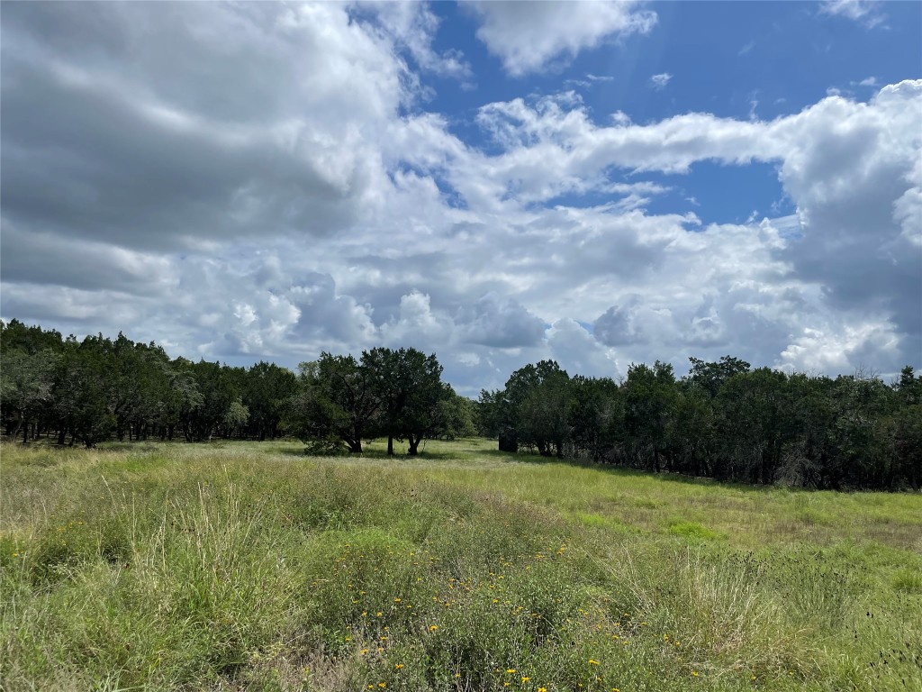 175 Fischer Trail Wimberley, TX 78676 - Photo 29 of 33 a view of a grassy field