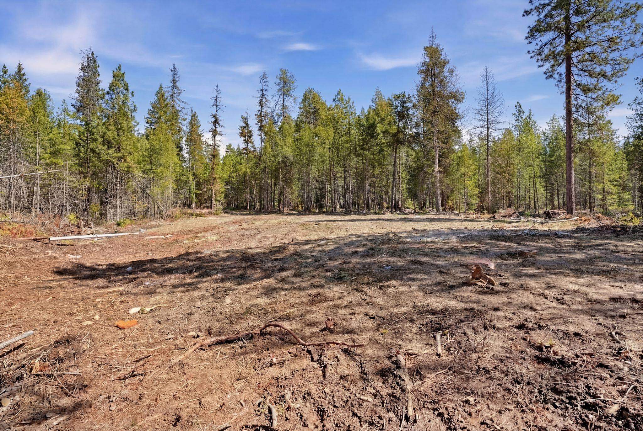 4151 H H Jepsen Road Springdale, WA 99173 - Photo 11 of 20