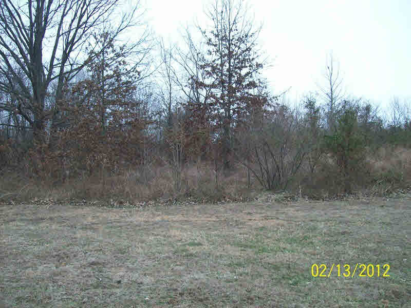 145 Reevesville Road Grantsburg, IL 62943 - Photo 17 of 45