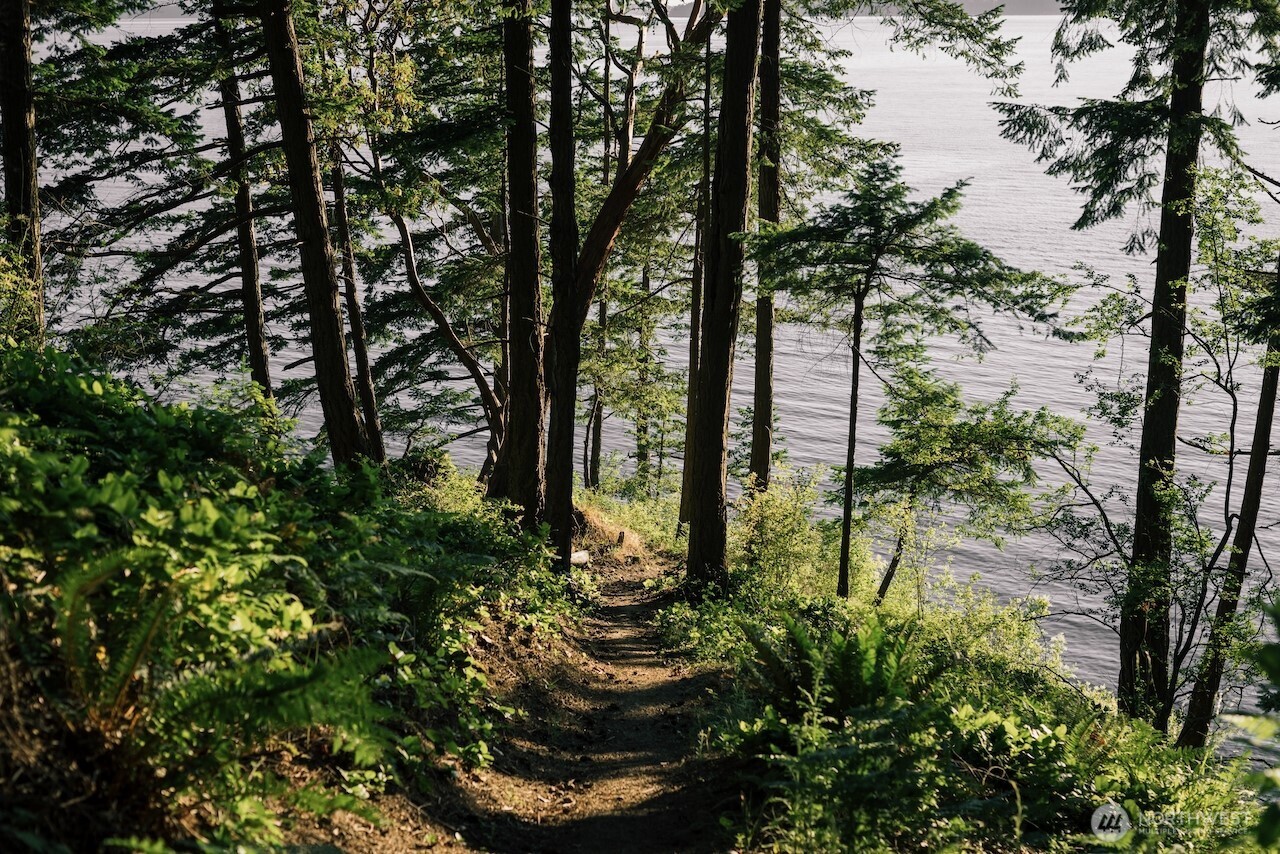 251 Arbel Way Bellingham, WA 98229 - Photo 13 of 34 a view of a garden