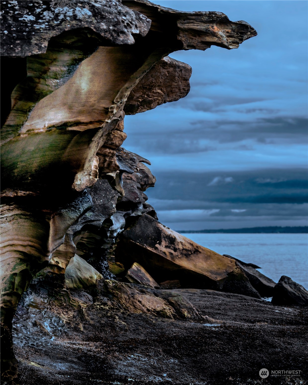 251 Arbel Way Bellingham, WA 98229 - Photo 16 of 34 a black and white photo of a stove