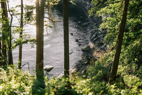 a backyard of a house with lots of green space