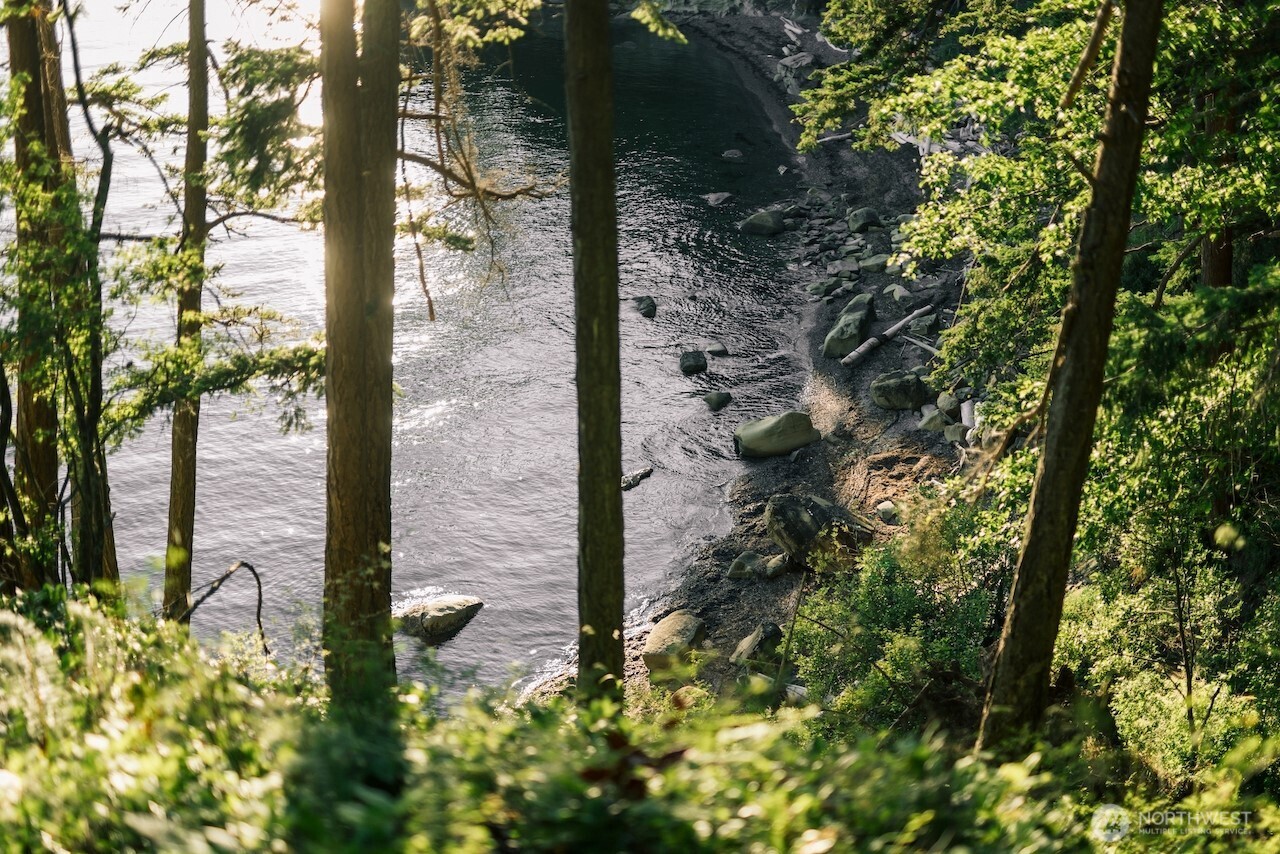 251 Arbel Way Bellingham, WA 98229 - Photo 2 of 34 a backyard of a house with lots of green space