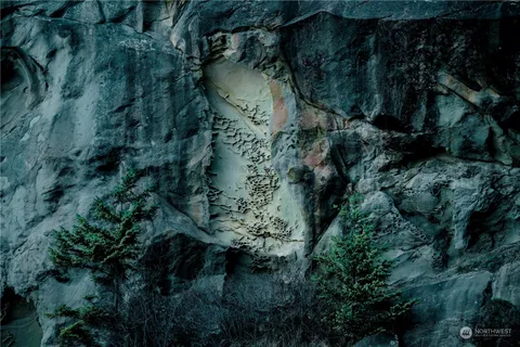 a view of a plant in a garden