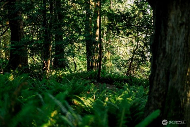a view of a yard in front of a house