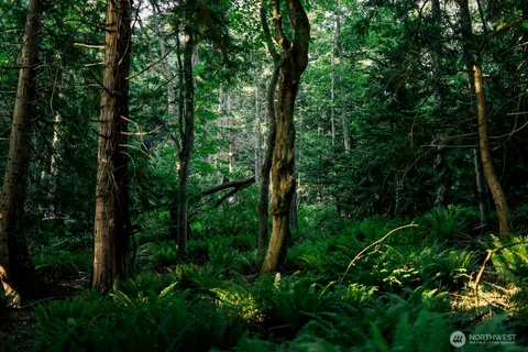 a close up of a plant