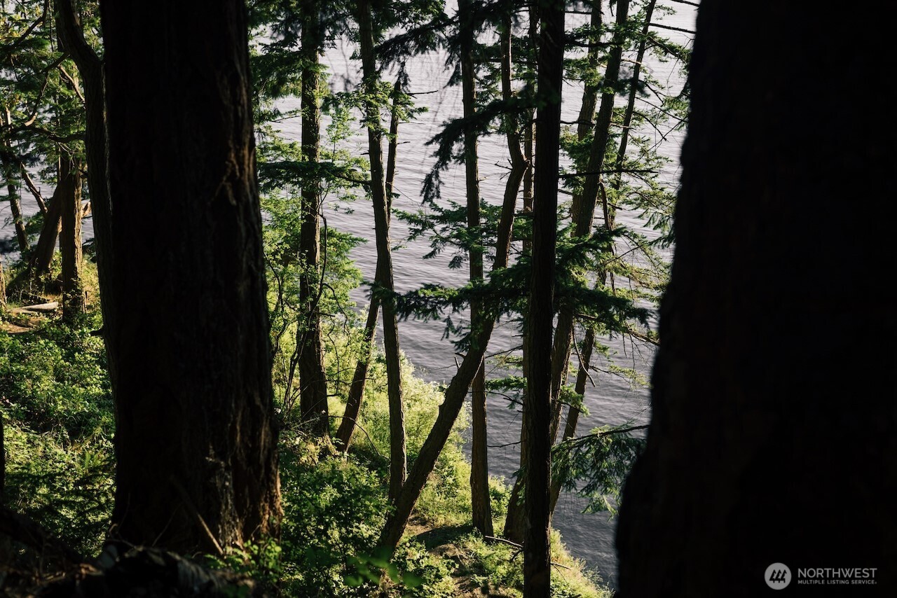 251 Arbel Way Bellingham, WA 98229 - Photo 28 of 34 a close up of a plant