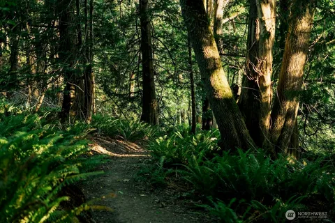 a view of ocean with boats