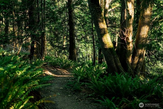 a view of ocean with boats