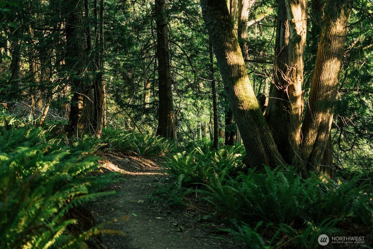 251 Arbel Way Bellingham, WA 98229 - Photo 29 of 34 a backyard of a house with lots of green space