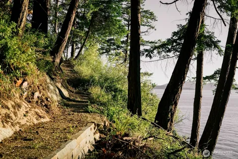 a view of a yard with plants and trees
