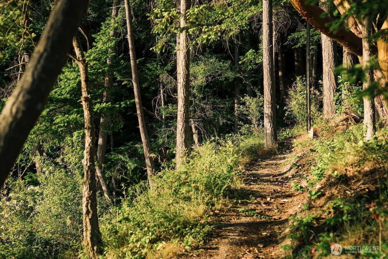 251 Arbel Way Bellingham, WA 98229 - Photo 4 of 34 a view of a garden