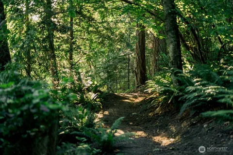 a backyard of a house with lots of trees